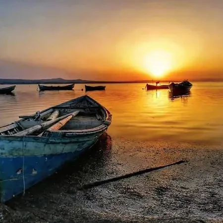 Couette-café Il Rifugio Del Lupo - E6721 Paringianu