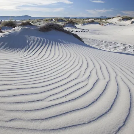 Il Rifugio Del Lupo - E6721